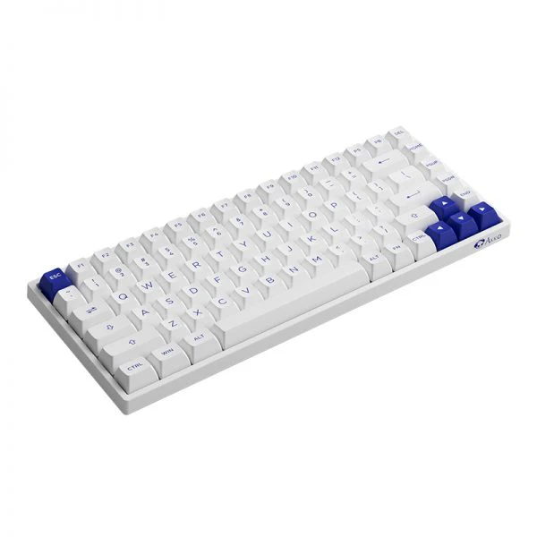 Akko Blue On White 3084B Plus Hot-Swappable Multi-Mode RGB Mechanical Keyboard (Akko CS Jelly Purple) - Image 5