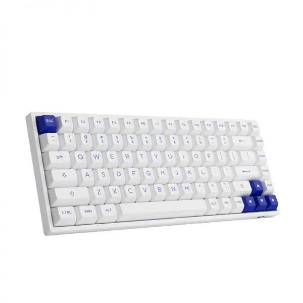 Akko Blue On White 3084B Plus Hot-Swappable Multi-Mode RGB Mechanical Keyboard (Akko CS Jelly Purple) - Image 6