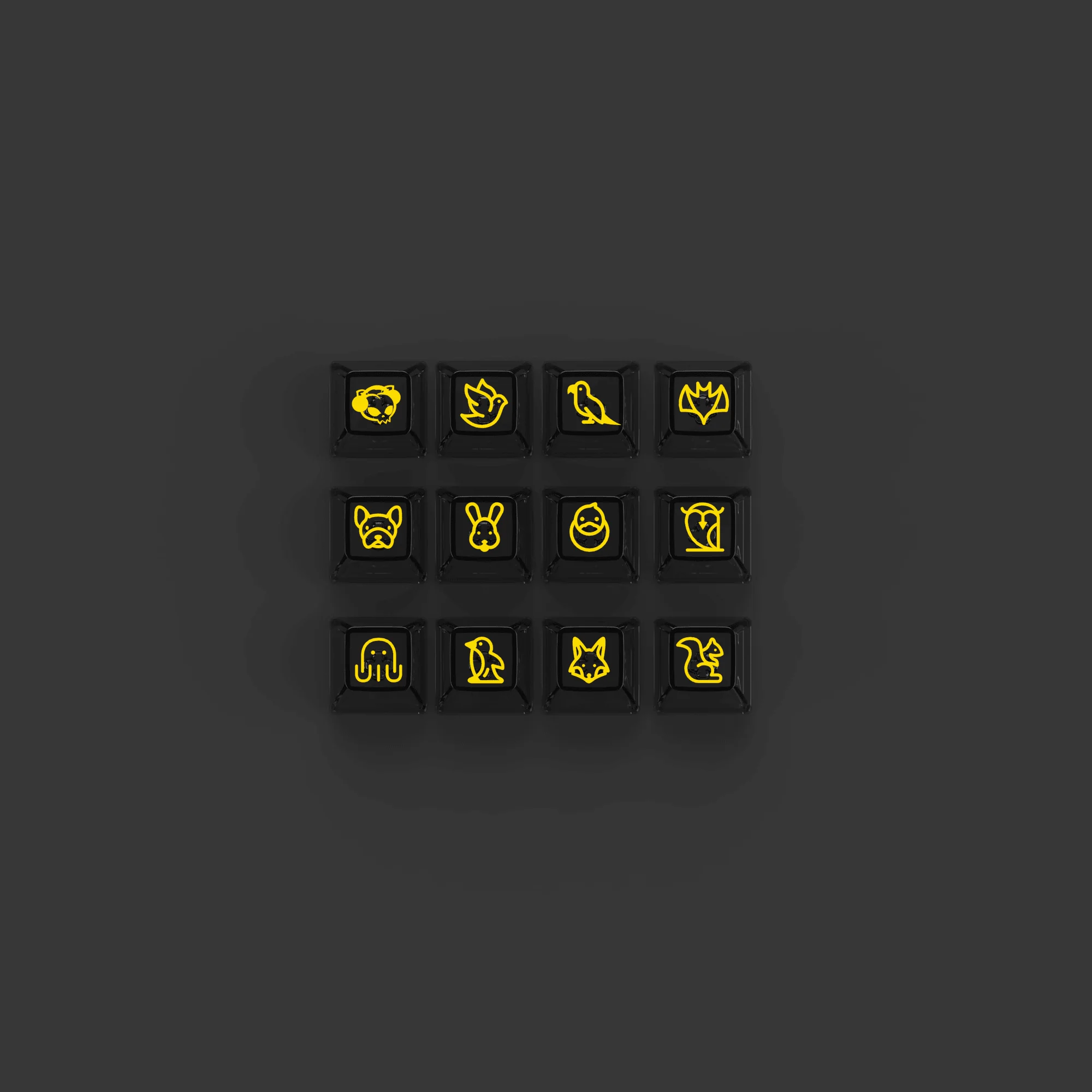 Akko Clear Black V2 Transparent Keycaps Set ASA 155 KEYS - Image 4