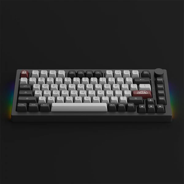 Akko Dracula Castle 5075B Plus Multi-Modes RGB Mechanical Keyboard (Wine White) - Image 4