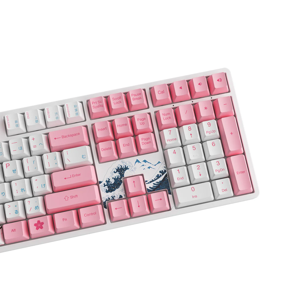Akko World Tour Tokyo R2 5108S OEM SP RGB Hot-Swappable Mechanical Keyboard (Gateron Orange-Lubed) - Image 10