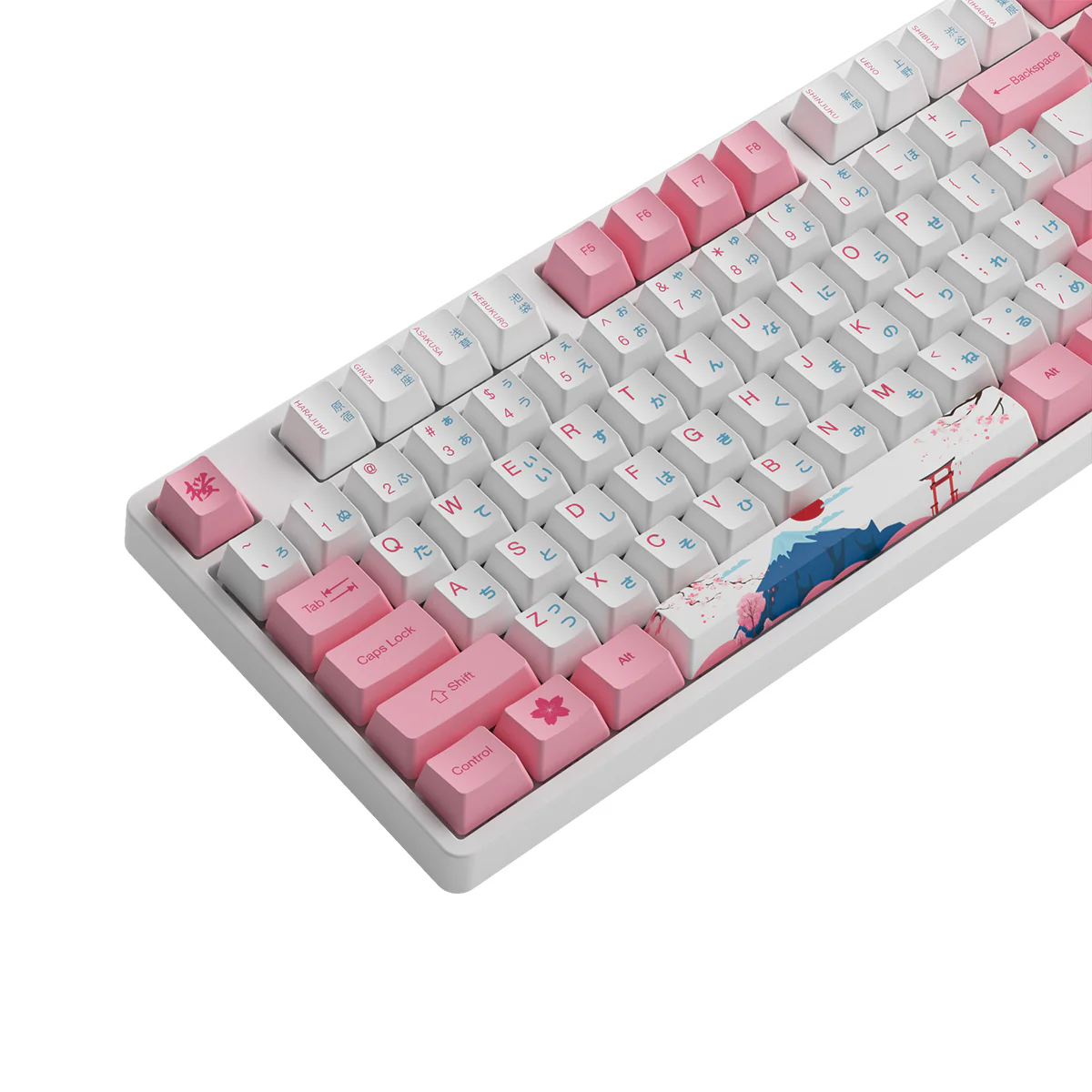 Akko World Tour Tokyo R2 5108S OEM SP RGB Hot-Swappable Mechanical Keyboard (Gateron Orange-Lubed) - Image 8