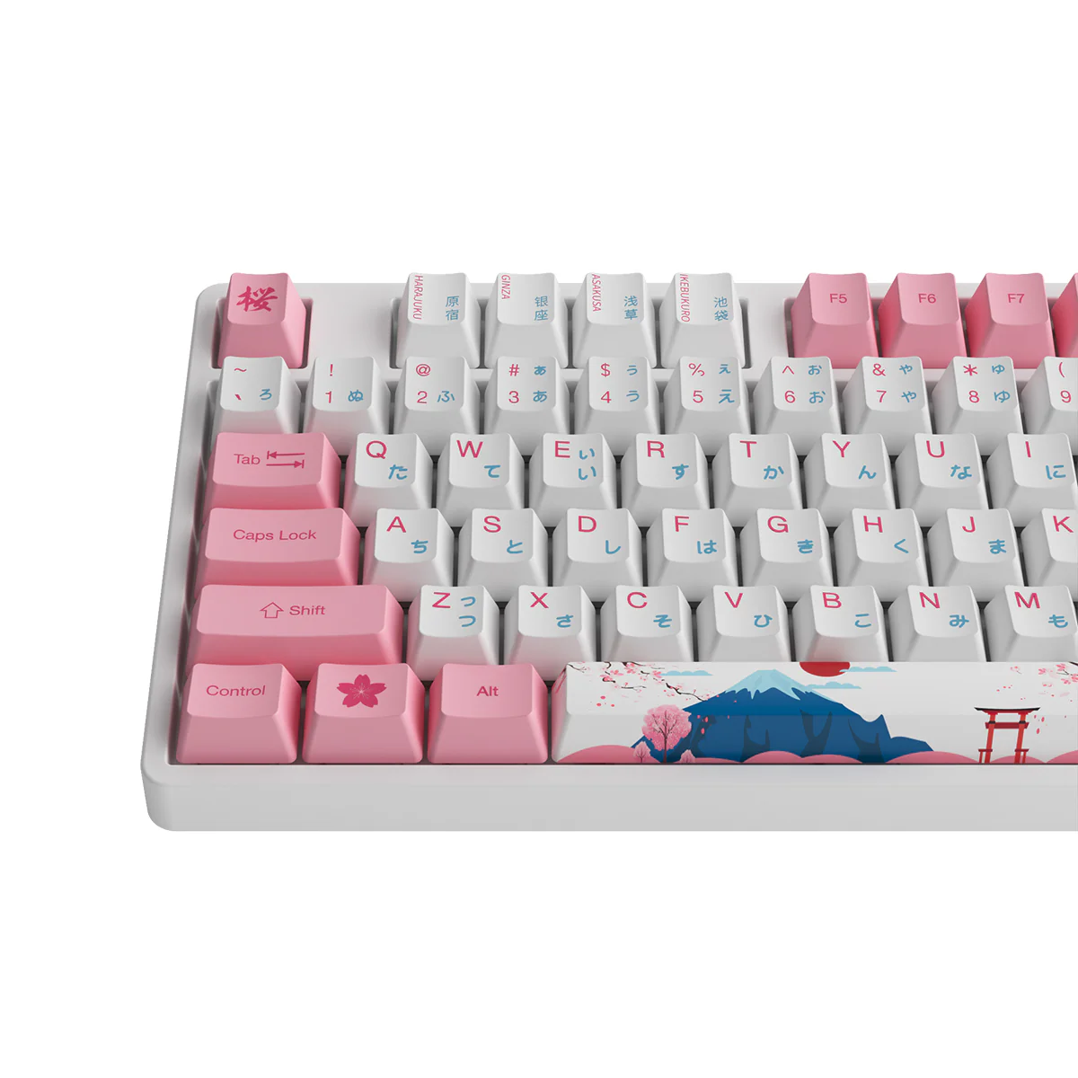 Akko World Tour Tokyo R2 5108S OEM SP RGB Hot-Swappable Mechanical Keyboard (Gateron Orange-Lubed) - Image 9
