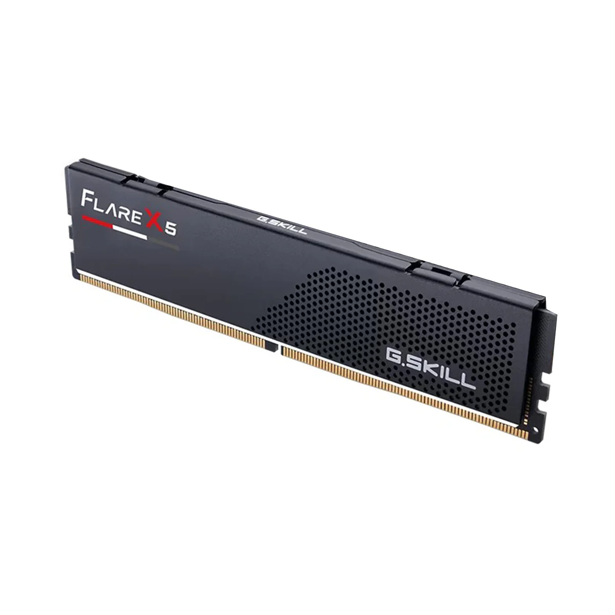 G.Skill Flare X5 16GB (16GBx1) DDR5 6000 MT/s CL36-36-36-96 1.35V Intel XMP / AMD EXPO Desktop Memory (F5-6000J3636F16GX1-FX5)