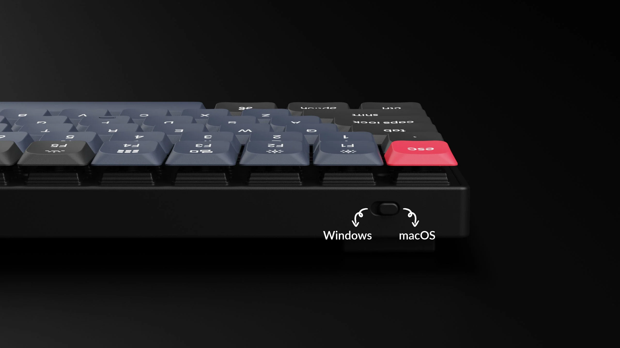 Keychron S1 QMK Custom Mechanical RGB Backlight Keyboard (Blue Switch) (S1B2) - Image 6