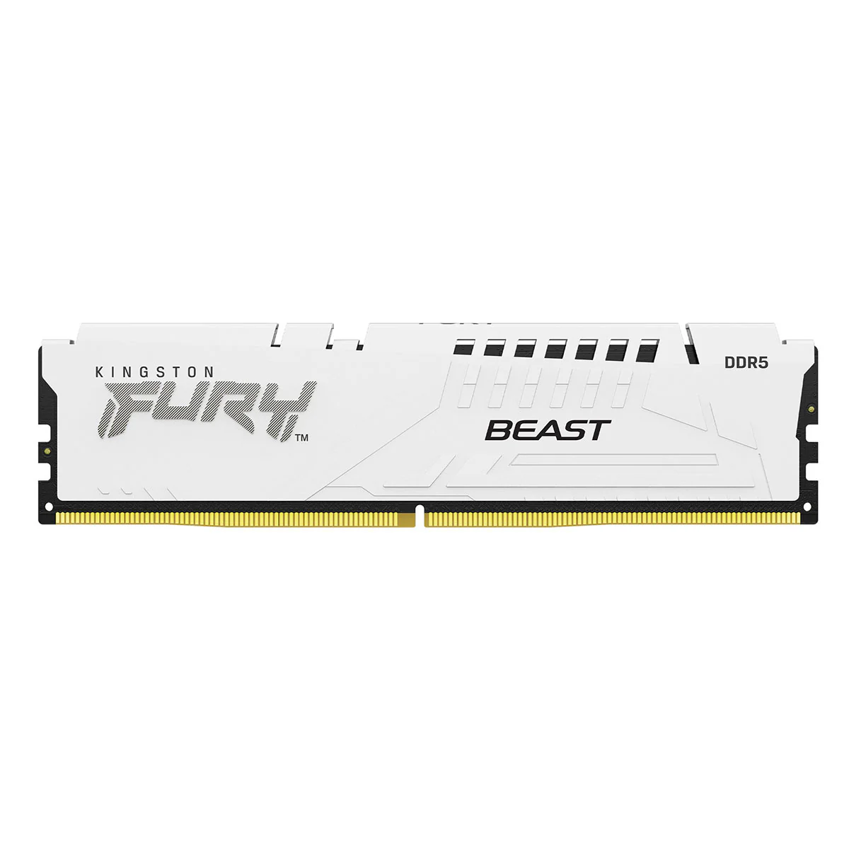 Kingston Fury Beast 16GB (1X16GB) DDR5 Expo 5200MT/S CL36 Memory (White) (KF552C36BWE-16)