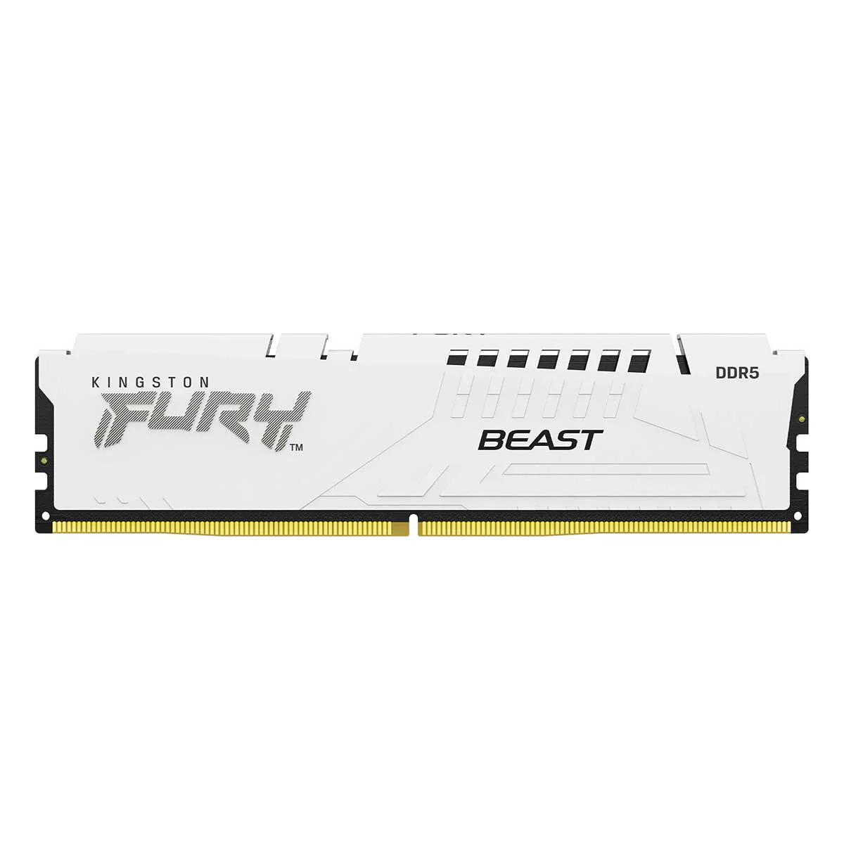 Kingston Fury Beast 16GB (1X16GB) DDR5 Expo 5600MT/S CL36 Memory (White) (KF556C36BWE-16)