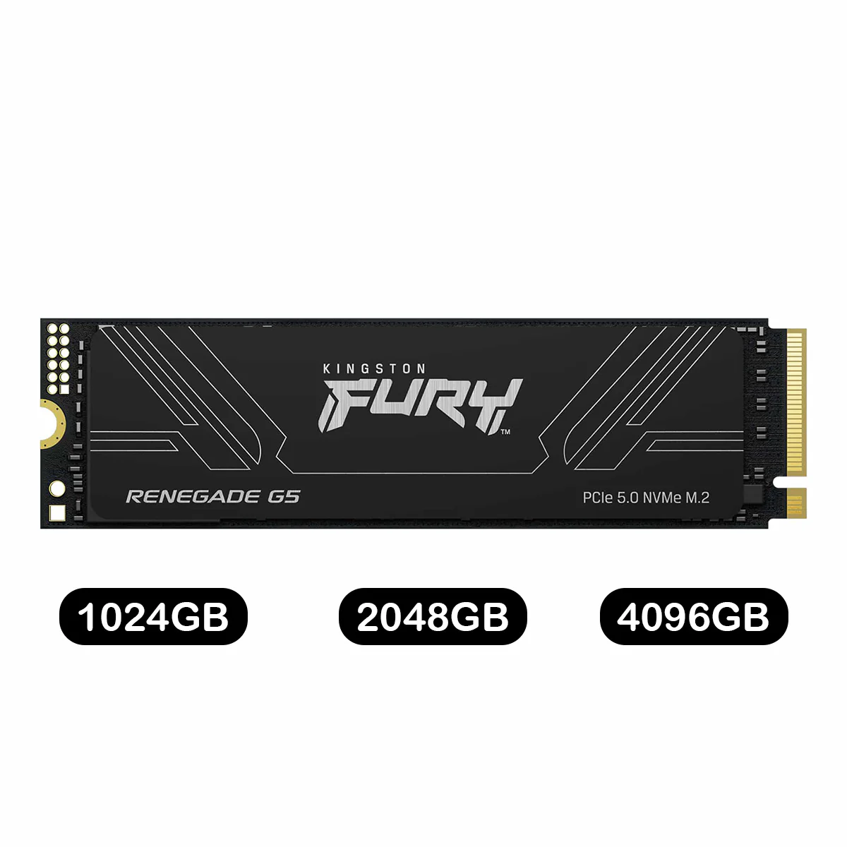 Kingston Fury Renegade G5 PCIe Gen5 NVMe M.2 2280 SSD (1024GB, 2048GB, 4096GB) (SFYR2S/1T0, SFYR2S/2T0, SFYR2S/4T0)