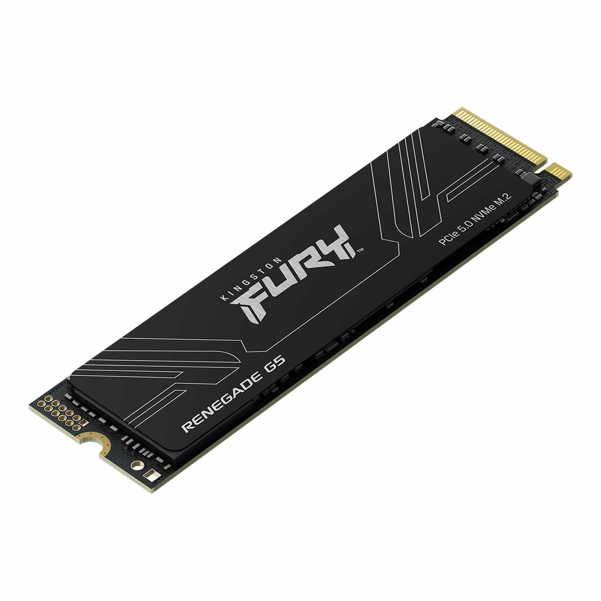 Kingston Fury Renegade G5 PCIe Gen5 NVMe M.2 2280 SSD (1024GB, 2048GB, 4096GB) (SFYR2S/1T0, SFYR2S/2T0, SFYR2S/4T0) - Image 3