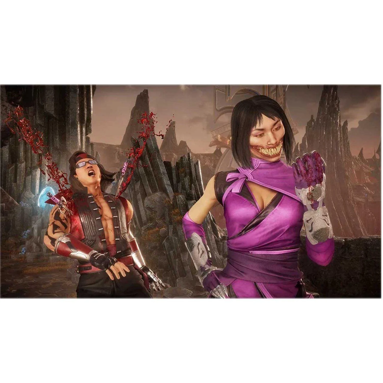 Nintendo Switch Mortal Kombat 11 Ultimate (Code in a Box) (Eng/EU) - Image 7