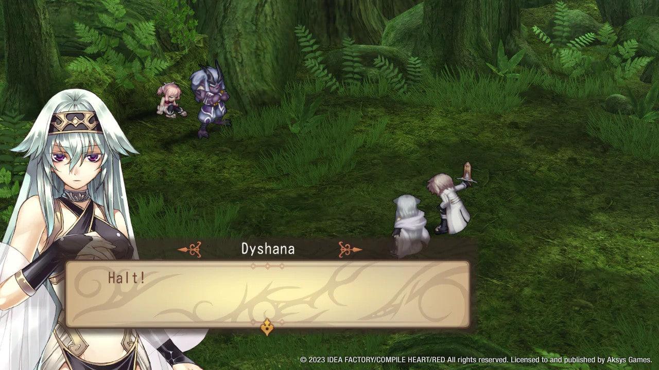 Nintendo Switch Record Of Agarest War (US) - Image 9