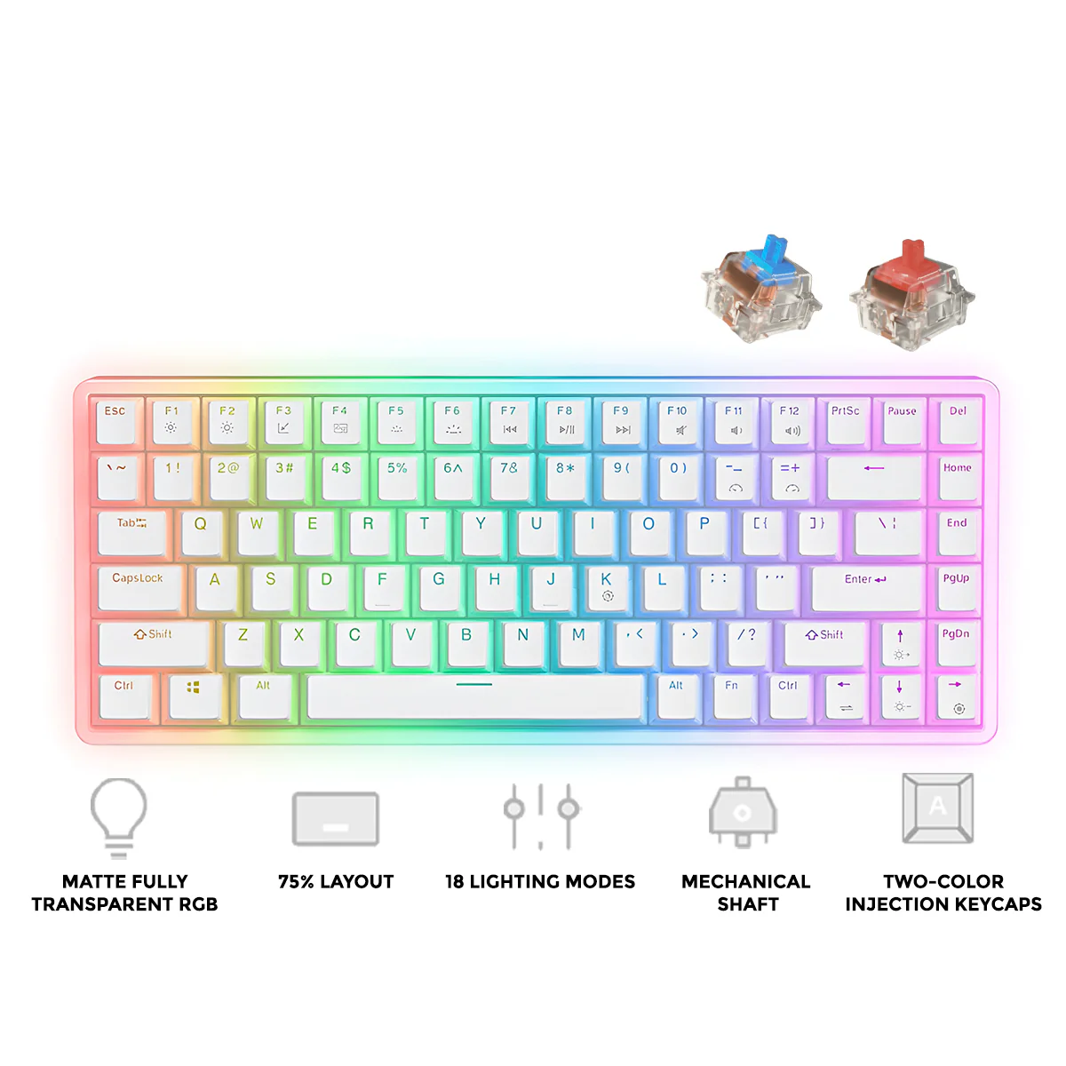 Onikuma G30 84-Key RGB Mechanical Keyboard (White) (Red Axis Switch, Cyan Axis Switch)