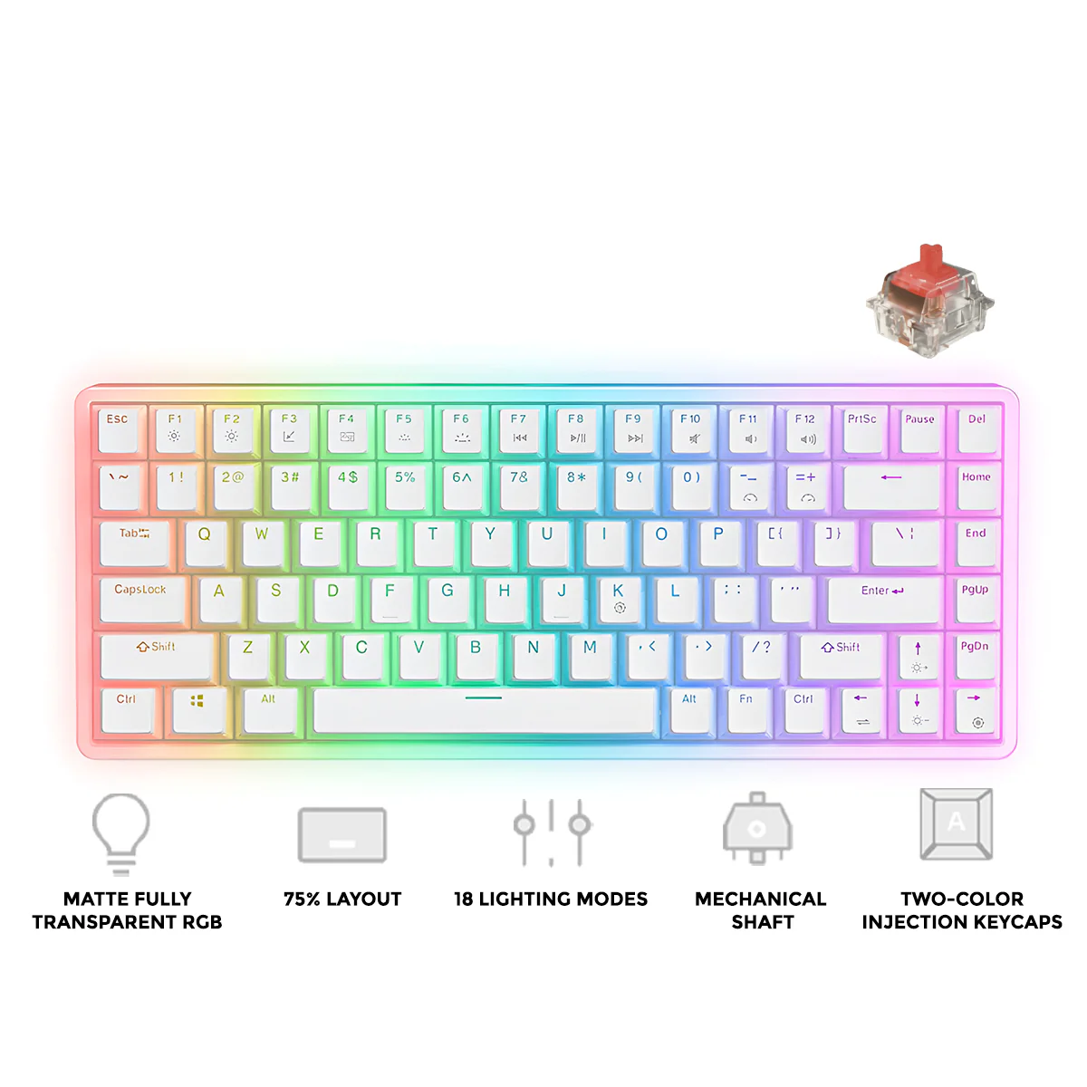 Onikuma G30 84-Key RGB Mechanical Keyboard (White) (Red Axis Switch, Cyan Axis Switch) - Image 2