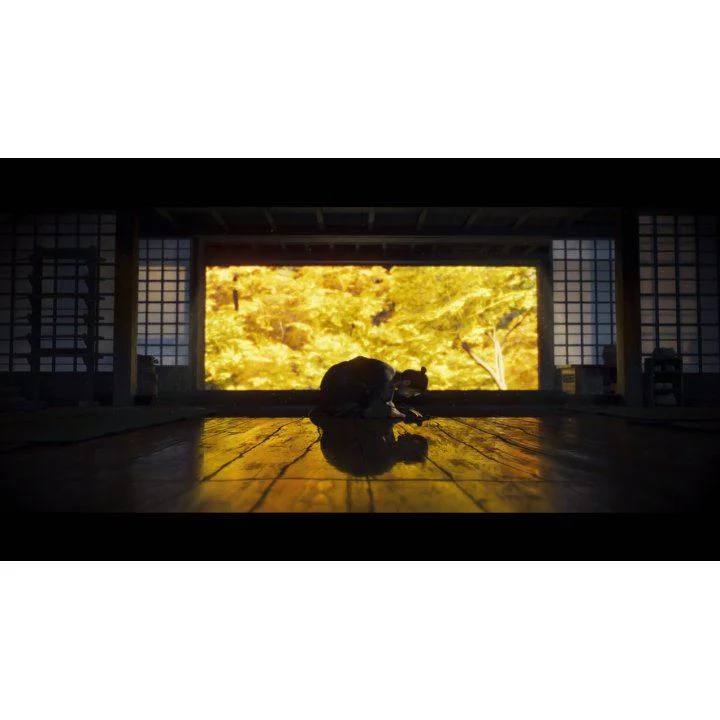 PS4 Ghost Of Tsushima Directors Cut ALL (US) (Eng/FR) - Image 11