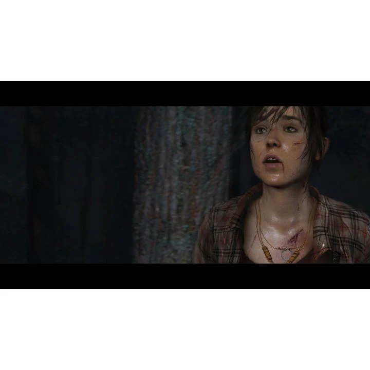 PS4 Heavy Rain And Beyond Two Souls Collection Reg.2 (ENG/EU) - Image 11