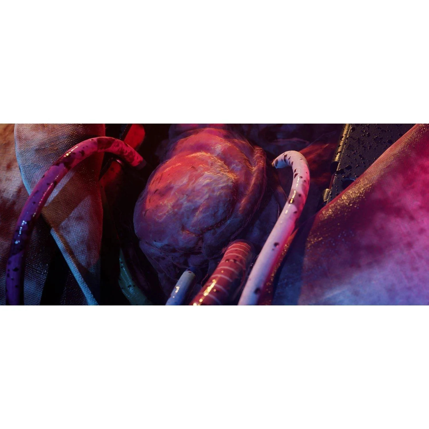 PS4 The Dark Pictures Anthology The Devil in Me REG.3 - Image 5