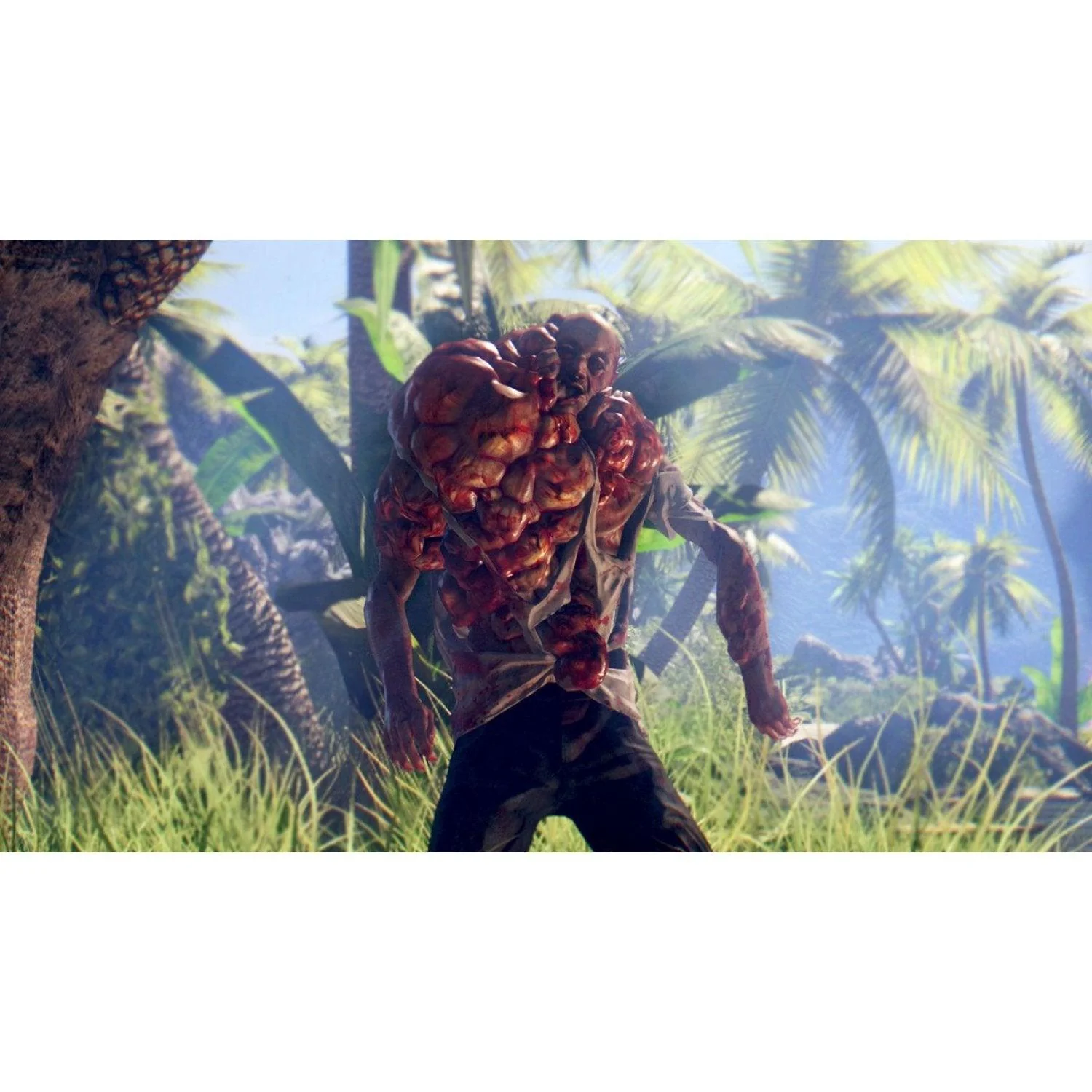 Xbox One Dead Island Definitive Collection (Asian) - Image 3